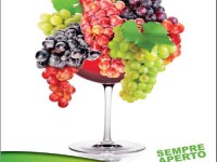 Festa per il 14° anniversario del Maestrale, manifesto