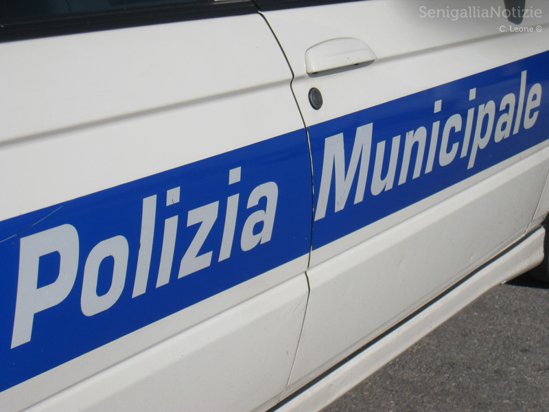 Polizia Municipale a Senigallia