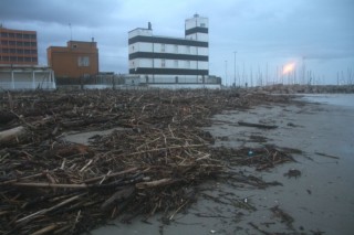 Detriti sulla Spiaggia di Velluto