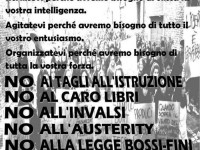 Manifestazione studentesca 15 novembre 2013, l'appello degli organizzatori