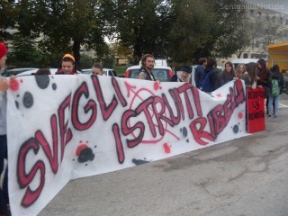 Gli studenti di Senigallia "Svegli, istruiti, ribelli"