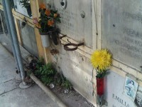 Incuria nella parte vecchia del cimitero di Senigallia