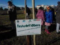 Festa dell'Albero 2013 a Senigallia