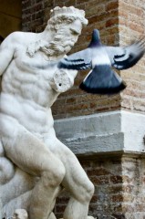 foto del Monc' in piazza di Senigallia - foto del concorso "Sguardi Possibili"