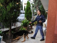 Operazione antidroga della Polizia a Senigallia