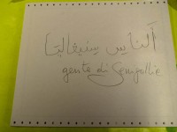 Gente di Senigallia tradotto in arabo