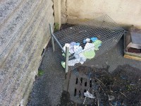 Trappola per gatti in zona Cesanella