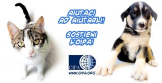 Raccolta fondi OIPA