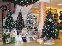 Prodotti natalizi di New Energy di Ostra