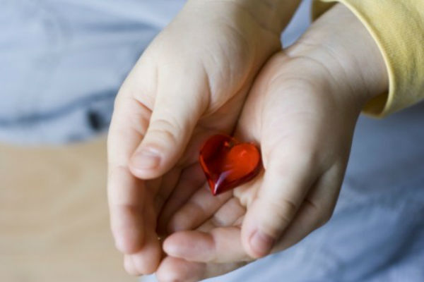 Donazione degli organi