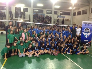 Pallavolo senigallia