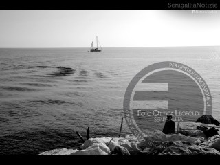 Il mare visto dal porto di Senigallia - Foto Leopoldi