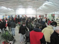 Il Mercato bio organizzato dall'Arvultura