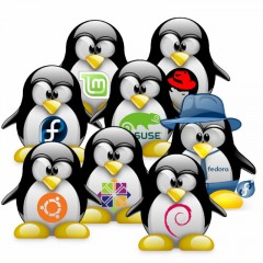 Logo del sistema operativo Linux