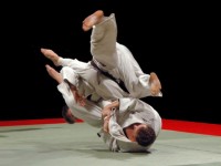 ju jitsu