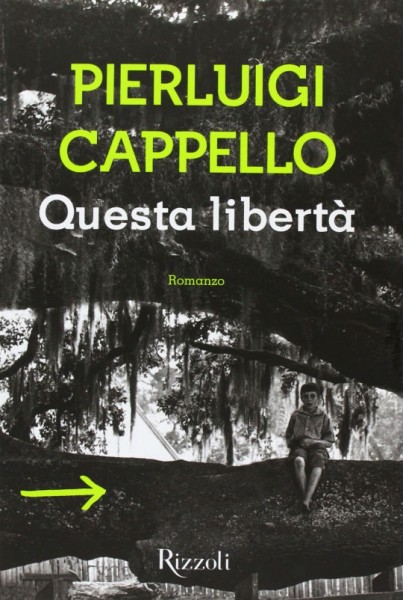 romanzo Pierluigi Cappello