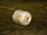 Una delle pietre trovate in spiaggia a Senigallia (Foto Buontempi)