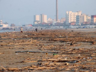 Detriti a Senigallia sulla spiaggia di Ponente
