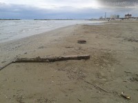 Detriti sulla spiaggia di Senigallia a causa delle mareggiate invernali