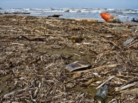 La spiaggia di Senigallia invasa dai rifiuti e dai detriti