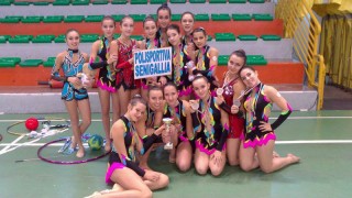 Polisportiva senigalliese