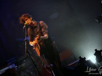 Dente in concerto alla Fenice di Senigallia - Foto di Libero Api