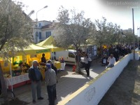 Il mercatino promosso da Riviera Nord sul lungomare Mameli di Senigallia