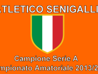 Atletico Senigallia, campione 2013/2014