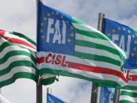Bandiere della Fai Cisl