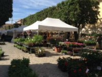 Via Carducci in fiore 2014