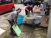 Sos bucato infangato