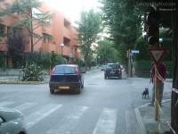 L'incidente tra via Mercantini e viale A Garibaldi nella serata del 29 maggio