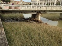Ponte Garibaldi nella fotografia di Massimo Mariselli: il degrado del letto del fiume Misa