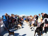 Passeggiandog 2014