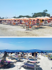 Quale delle due è una colonia estiva?