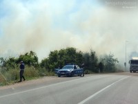 Il fumo innalzatosi dalla vegetazione in fiamme, a Marina di Montemarciano
