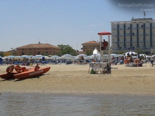 Il servizio di salvamento in spiaggia, a Senigallia