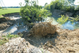 Fosso Sambuco a Senigallia