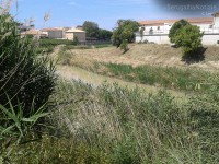 L'ultimo tratto del fiume Misa, quello che attraversa la città di Senigallia, è oggetto in queste ore di alcuni interventi di pulizia e taglio della vegetazione disposti dalla Provincia di Ancona