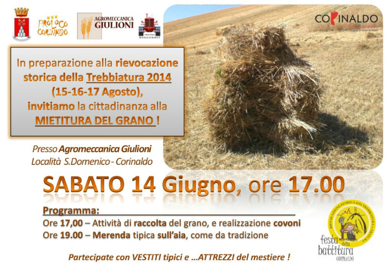 volantino "mietitura del grano" Corinaldo