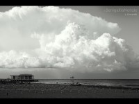 foto-giorno-lorenzo-ceccarelli