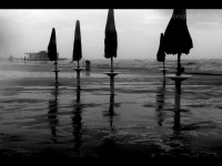 foto-giorno-lorenzo-ceccarelli