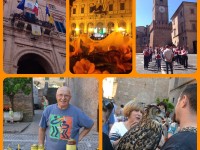 foto Ostra "Gusta l'Arancione"