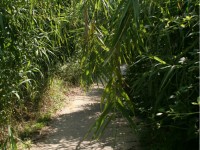 PercorriMisa a Senigallia