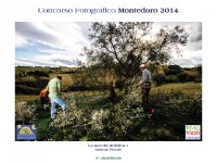 La raccolta dell'oliva 1 di Simone Porretti - Quarto Classificato Concorso Fotografico Montedoro 2014