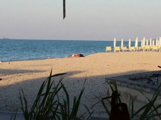 La coppietta 'focosa'