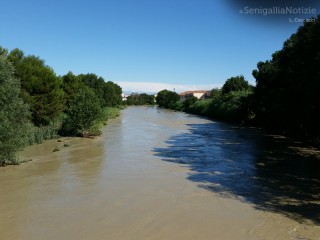 Il giorno dopo il maltempo del 29 luglio: il fiume Misa ancora in piena