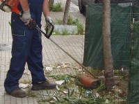 cura e manutenzione del verde urbano