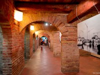Mostra di Polonara all'Expo-ex