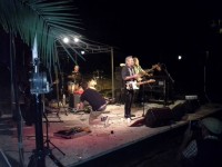 Il concerto della Gang a Senigallia